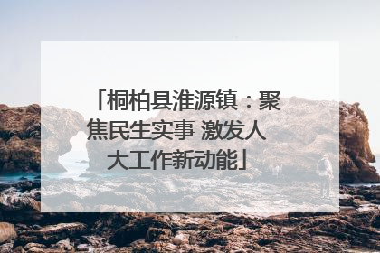 桐柏县淮源镇：聚焦民生实事 激发人大工作新动能