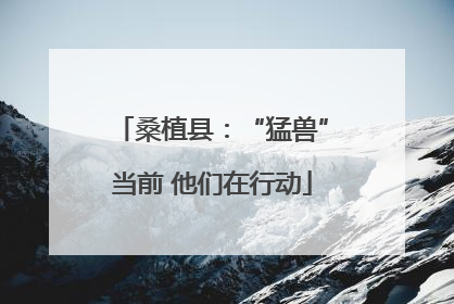 桑植县：“猛兽”当前 他们在行动