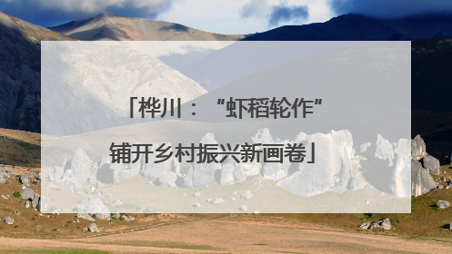 桦川：“虾稻轮作”铺开乡村振兴新画卷