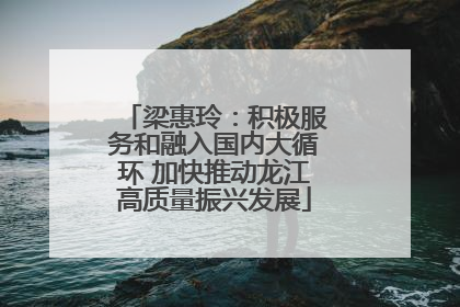 梁惠玲：积极服务和融入国内大循环 加快推动龙江高质量振兴发展