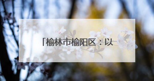 榆林市榆阳区：以园区集群助力轻纺产业走上“复兴路”