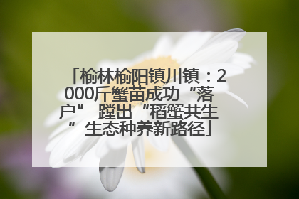 榆林榆阳镇川镇：2000斤蟹苗成功“落户” 蹚出“稻蟹共生”生态种养新路径