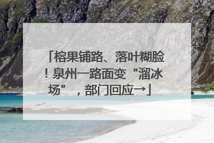 榕果铺路、落叶糊脸！泉州一路面变“溜冰场”，部门回应→
