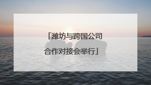 潍坊与跨国公司合作对接会举行