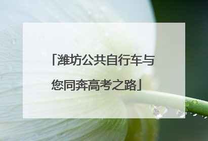 潍坊公共自行车与您同奔高考之路