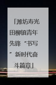 潍坊寿光田柳镇青年先锋“书写”新时代奋斗篇章