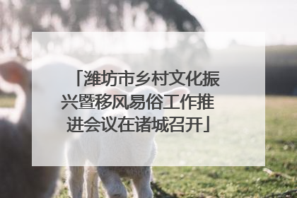 潍坊市乡村文化振兴暨移风易俗工作推进会议在诸城召开