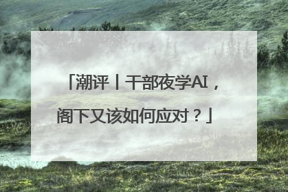 潮评丨干部夜学AI，阁下又该如何应对？