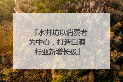水井坊以消费者为中心，打造白酒行业新增长极