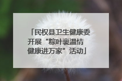 民权县卫生健康委开展“粽叶裹温情 健康进万家”活动