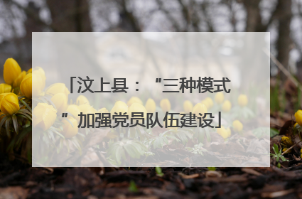 汶上县：“三种模式”加强党员队伍建设