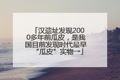 汉遗址发现2000多年前瓜皮，是我国目前发现时代最早“瓜皮”实物→