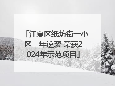 江夏区纸坊街一小区一年逆袭 荣获2024年示范项目