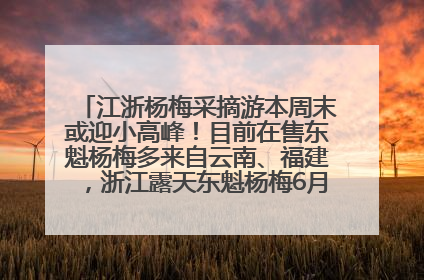 江浙杨梅采摘游本周末或迎小高峰！目前在售东魁杨梅多来自云南、福建，浙江露天东魁杨梅6月中旬大量上市