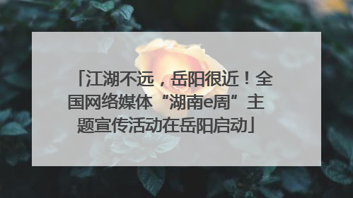 江湖不远，岳阳很近！全国网络媒体“湖南e周”主题宣传活动在岳阳启动