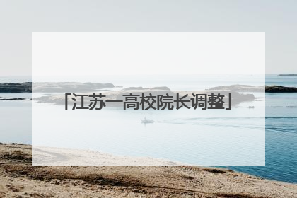 江苏一高校院长调整