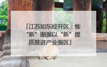 江苏如东经开区：惟“新”图强以“新”提质推进产业强区