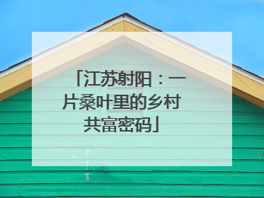 江苏射阳：一片桑叶里的乡村共富密码
