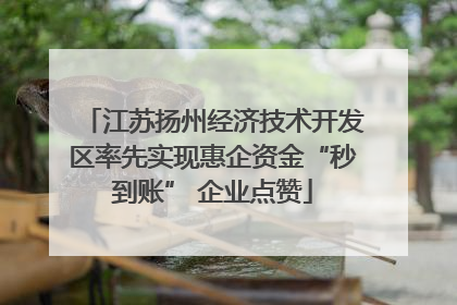 江苏扬州经济技术开发区率先实现惠企资金“秒到账” 企业点赞