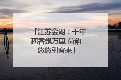 江苏金湖：千年藕香飘万里 荷韵悠悠引客来