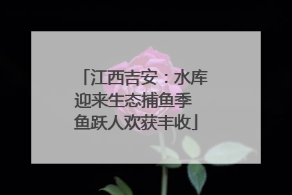 江西吉安：水库迎来生态捕鱼季 鱼跃人欢获丰收