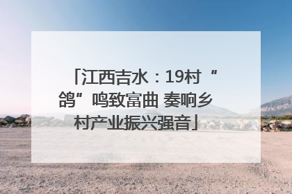 江西吉水：19村“鸽”鸣致富曲 奏响乡村产业振兴强音