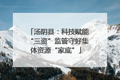 汤阴县：科技赋能“三资”监管守好集体资源“家底”