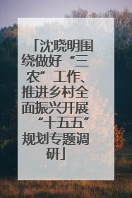 沈晓明围绕做好“三农”工作、推进乡村全面振兴开展“十五五”规划专题调研