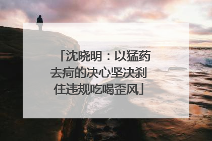 沈晓明：以猛药去疴的决心坚决刹住违规吃喝歪风