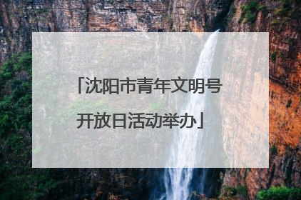 沈阳市青年文明号开放日活动举办