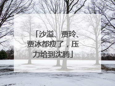 沙溢、贾玲、贾冰都瘦了，压力给到沈腾