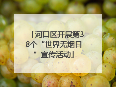 河口区开展第38个“世界无烟日”宣传活动