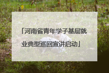 河南省青年学子基层就业典型巡回宣讲启动