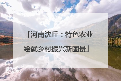 河南沈丘：特色农业绘就乡村振兴新图景