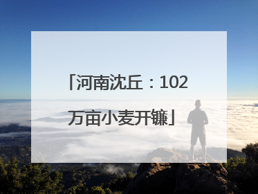 河南沈丘：102 万亩小麦开镰