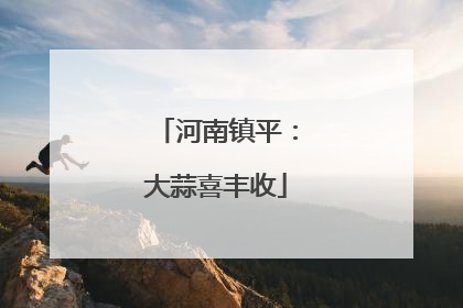 河南镇平：大蒜喜丰收