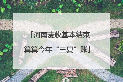 河南麦收基本结束 算算今年“三夏”账