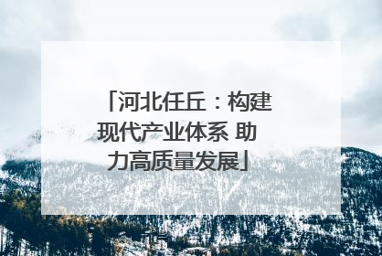 河北任丘：构建现代产业体系 助力高质量发展