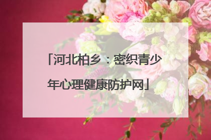 河北柏乡：密织青少年心理健康防护网