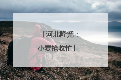 河北隆尧：小麦抢收忙