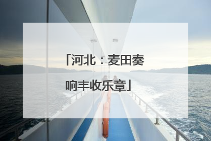 河北：麦田奏响丰收乐章