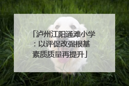 泸州江阳通滩小学：以评促改强根基 素质质量再提升