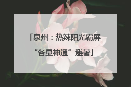 泉州：热辣阳光霸屏 “各显神通”避暑