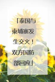 泰国与柬埔寨发生交火！双方国防部回应