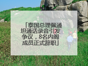 泰国总理佩通坦通话录音引发争议，8名内阁成员正式辞职