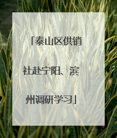 泰山区供销社赴宁阳、滨州调研学习