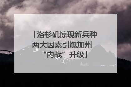 洛杉矶惊现新兵种 两大因素引爆加州“内战”升级