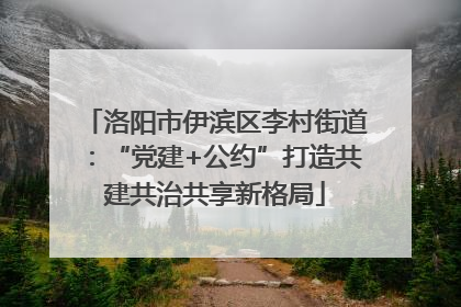 洛阳市伊滨区李村街道：“党建+公约”打造共建共治共享新格局