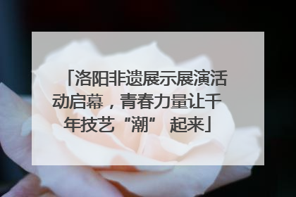 洛阳非遗展示展演活动启幕，青春力量让千年技艺“潮” 起来