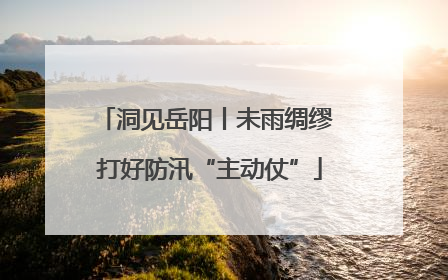 洞见岳阳丨未雨绸缪 打好防汛“主动仗”